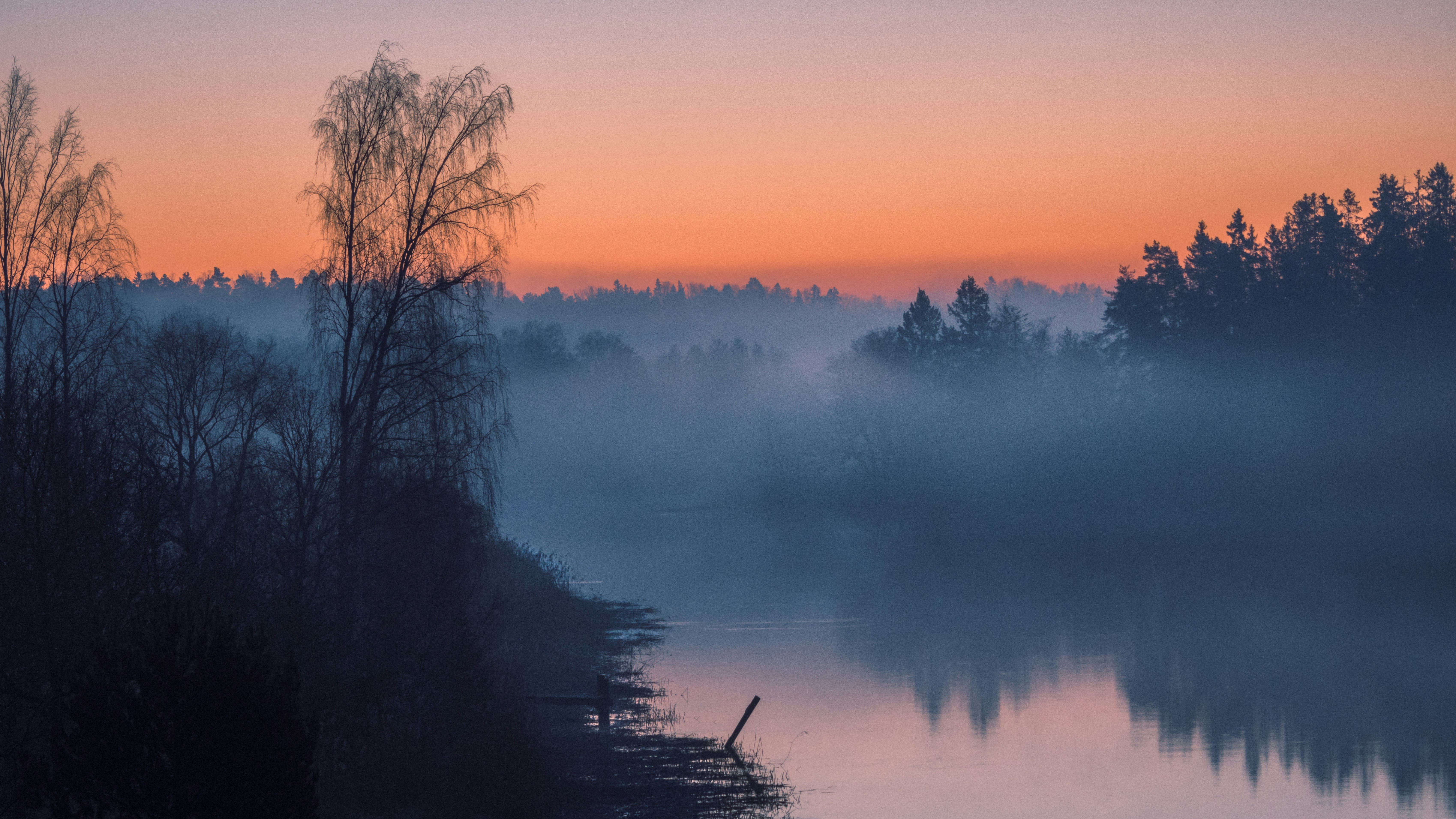 a body of water surrounded by trees and fog