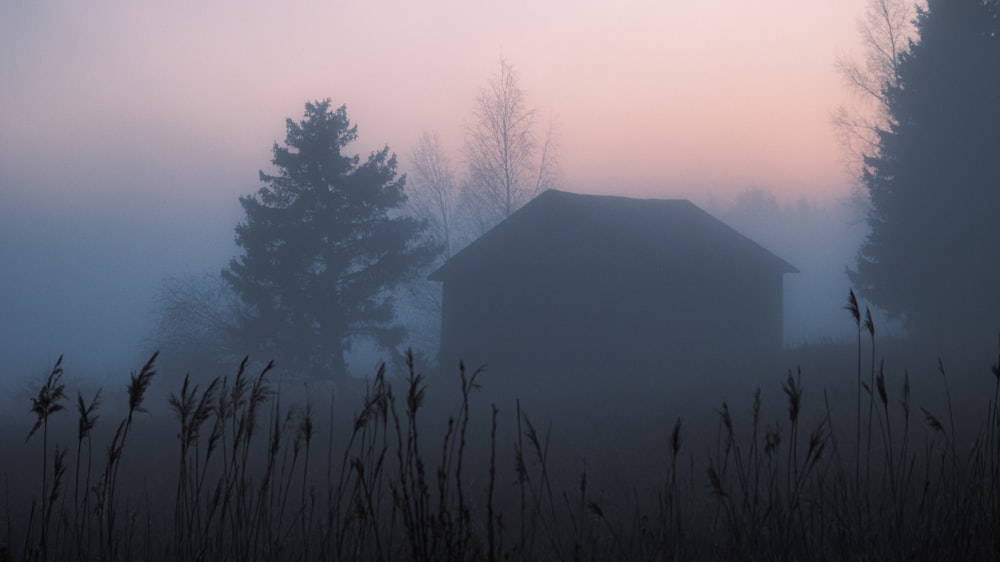 a barn in the fog with trees in the background