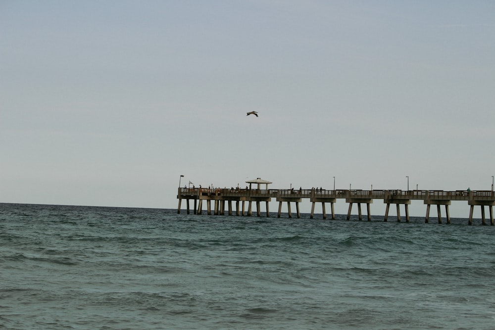 a bird flying over the ocean next to a pier