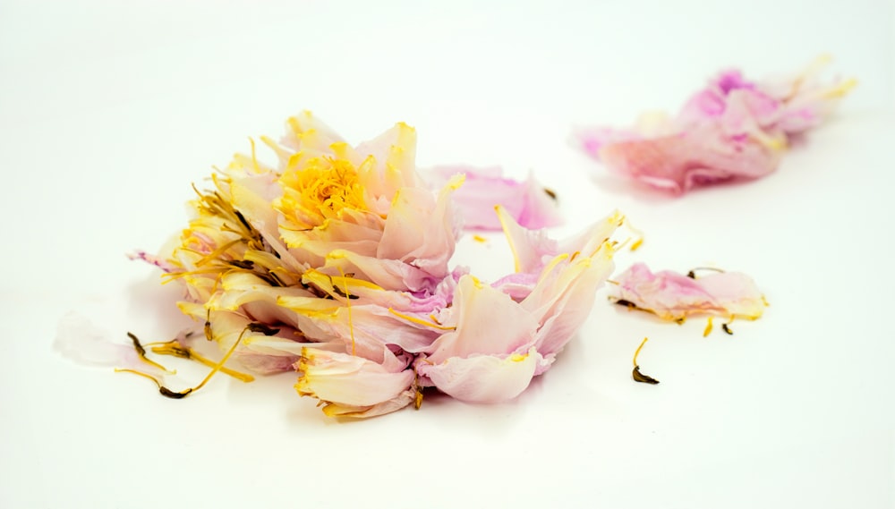 a bunch of pink and yellow flowers on a white surface