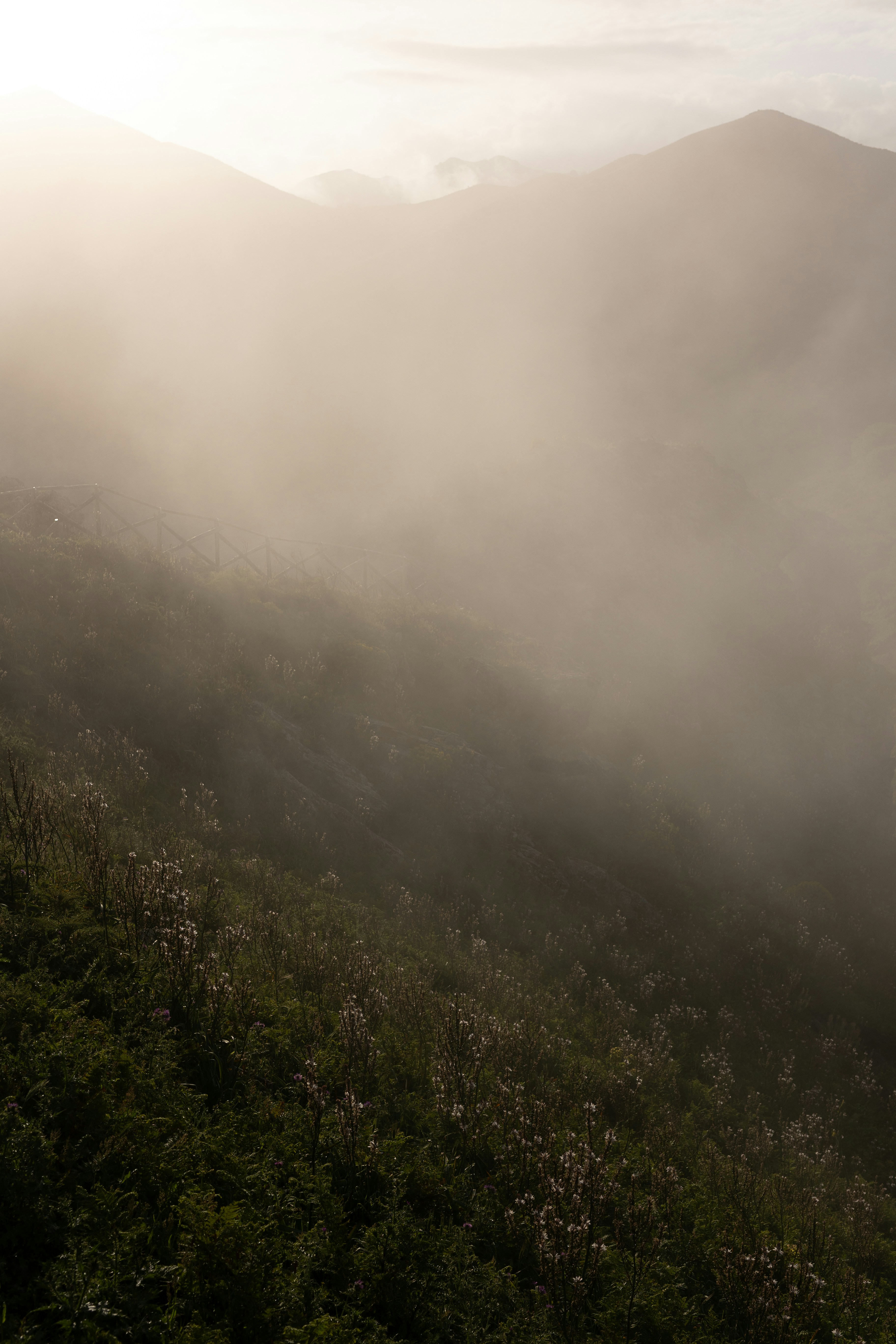 a hill covered in fog and low lying clouds