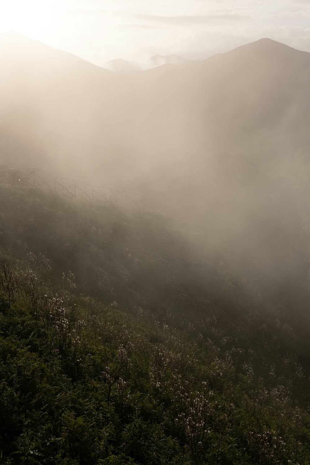 a hill covered in fog and low lying clouds