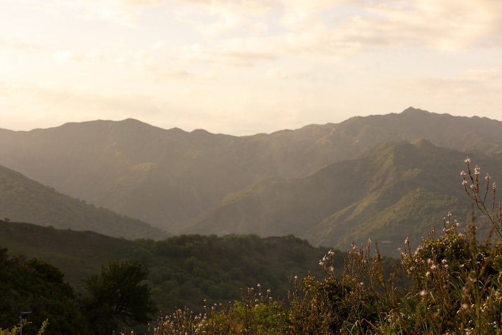 a view of a mountain range from a distance