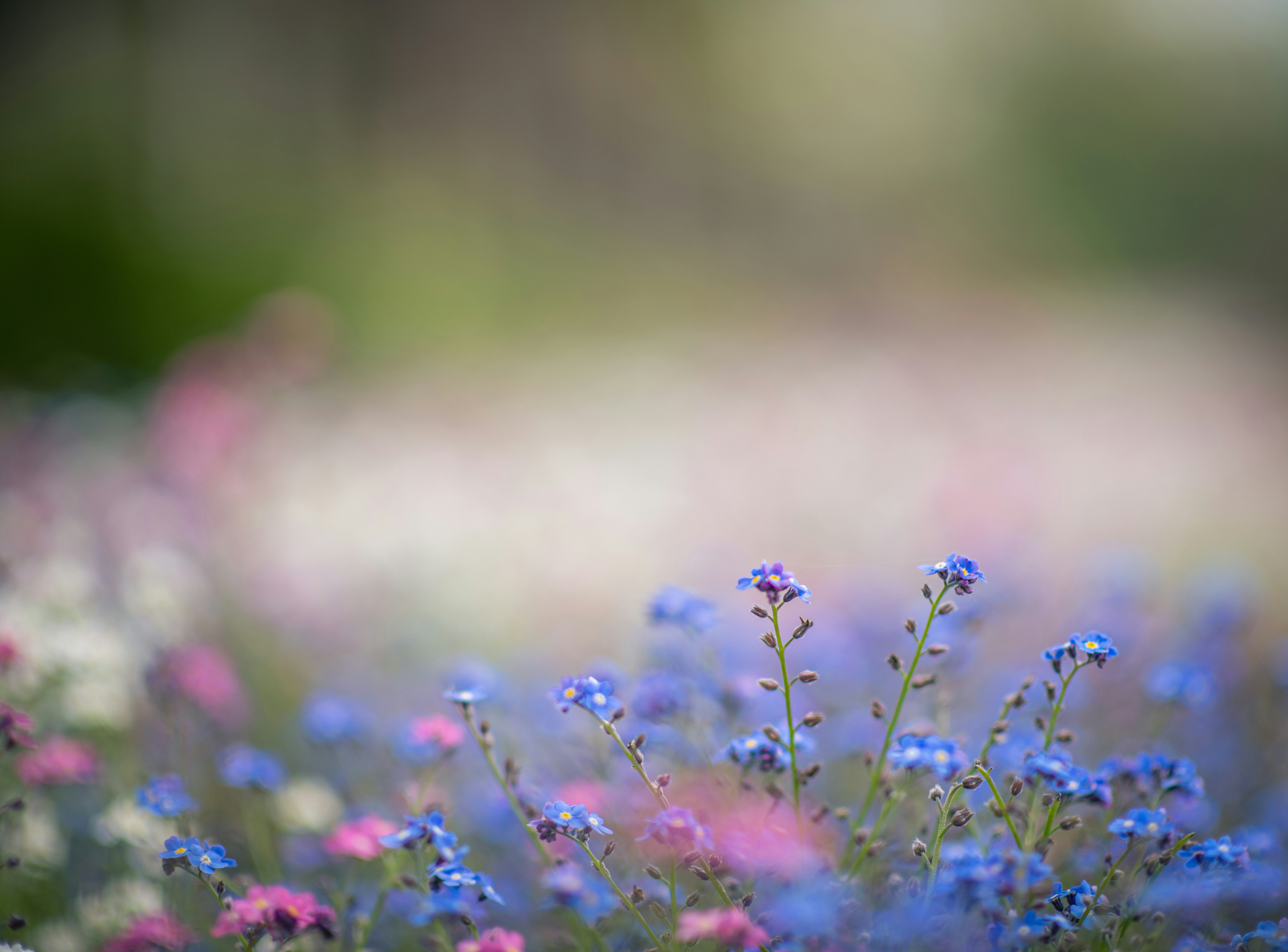 Photo by matt_captures_nature