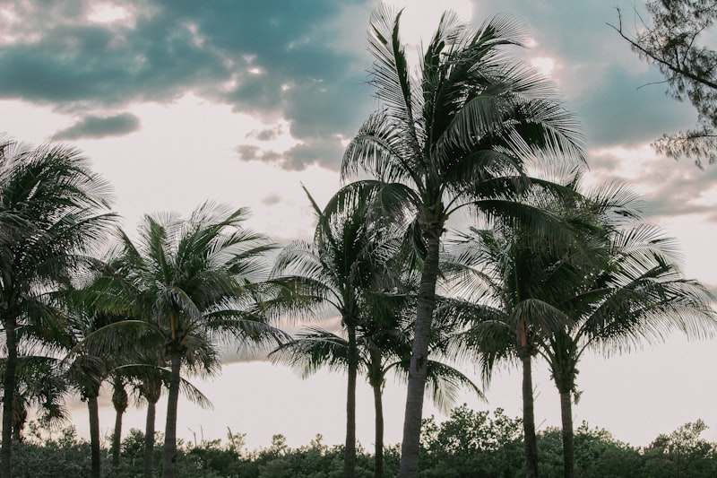 Fort Lauderdale Florida skyline