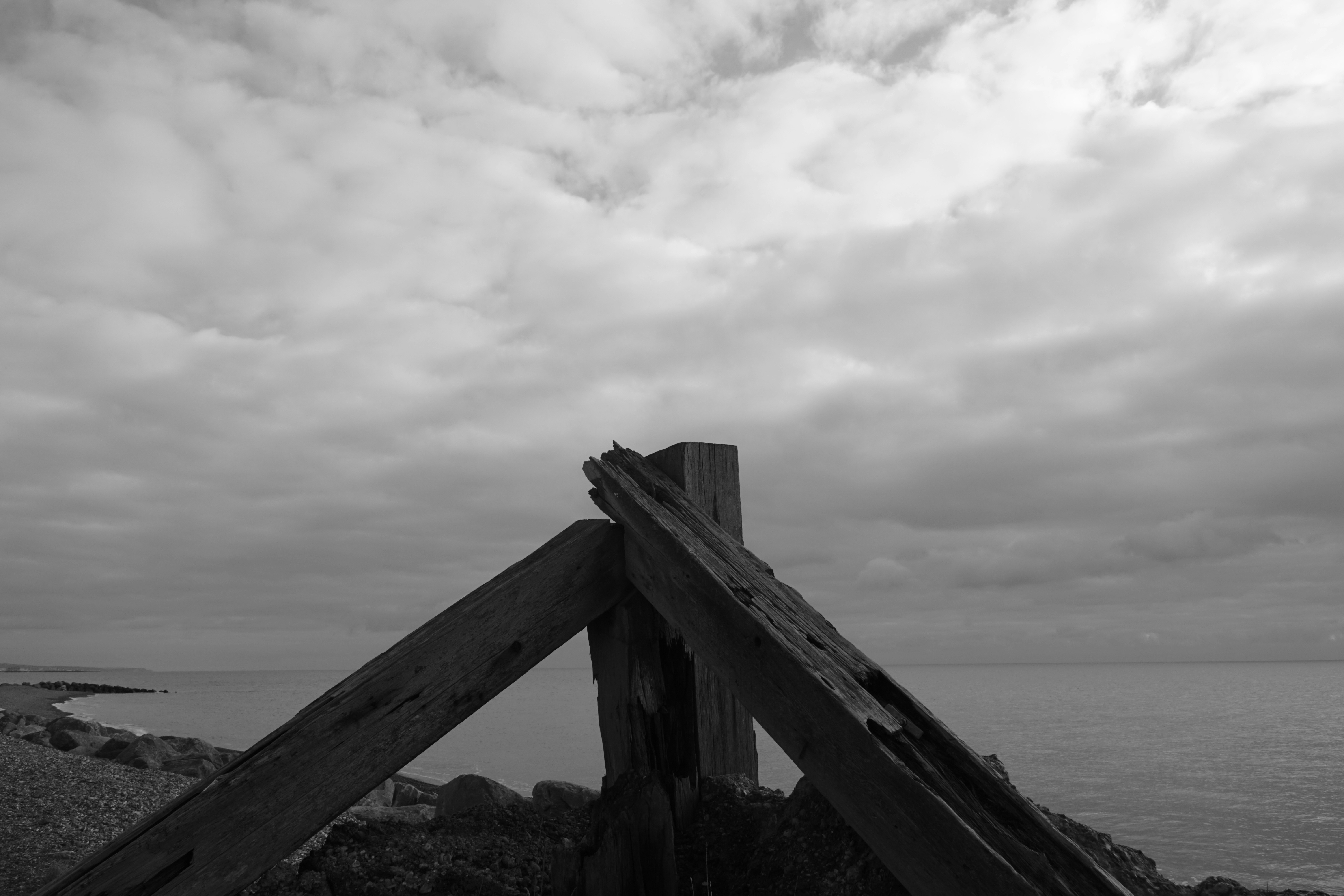 Photo by luca_capron