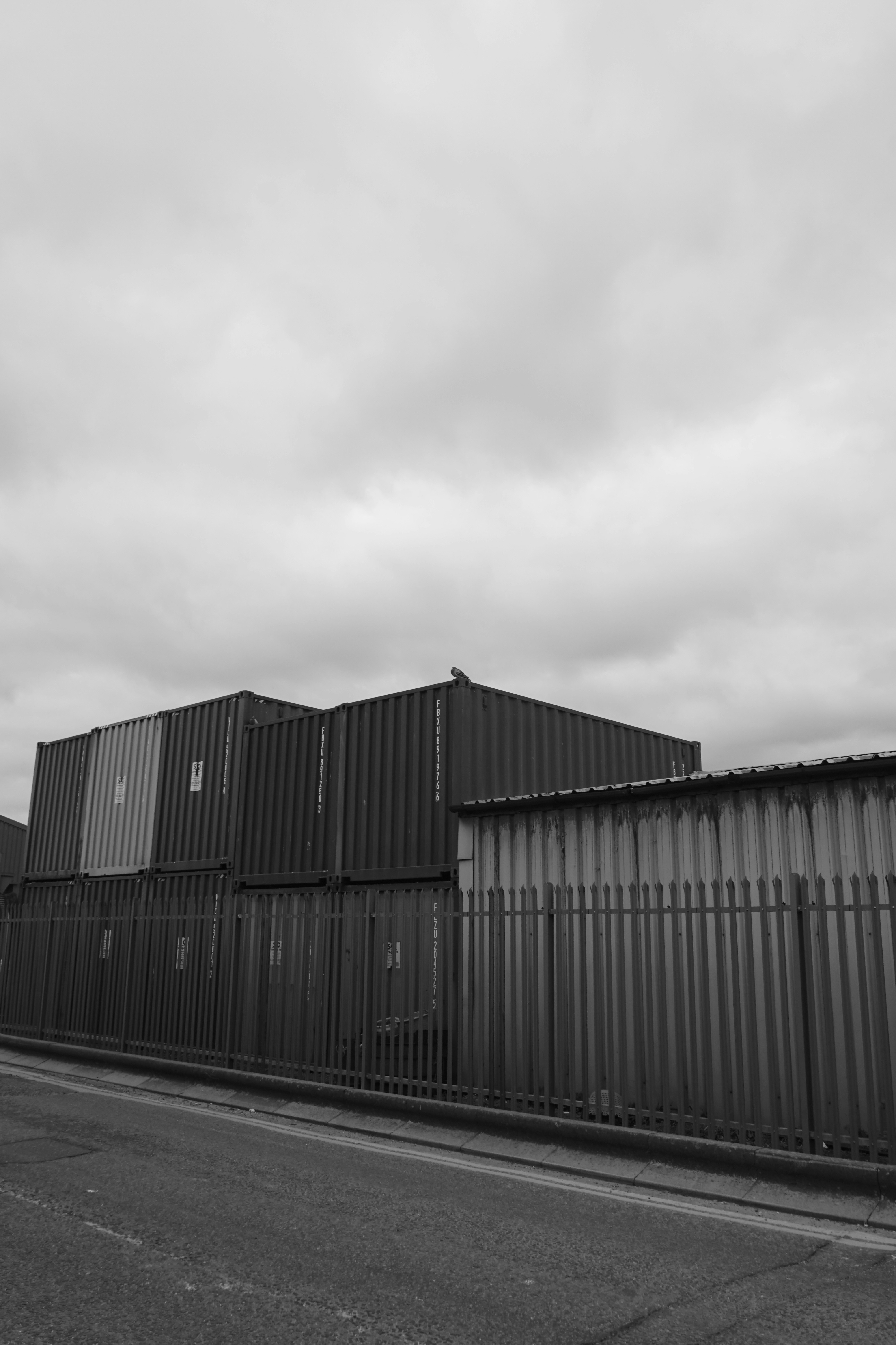 Photo by luca_capron