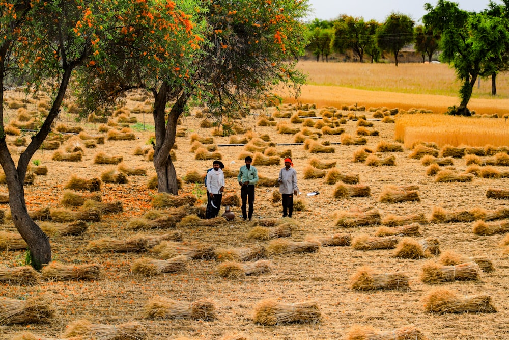 a group of people walking through a dry grass field