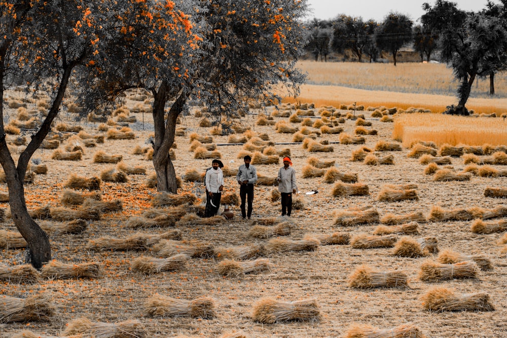 a group of people walking through a dry grass field
