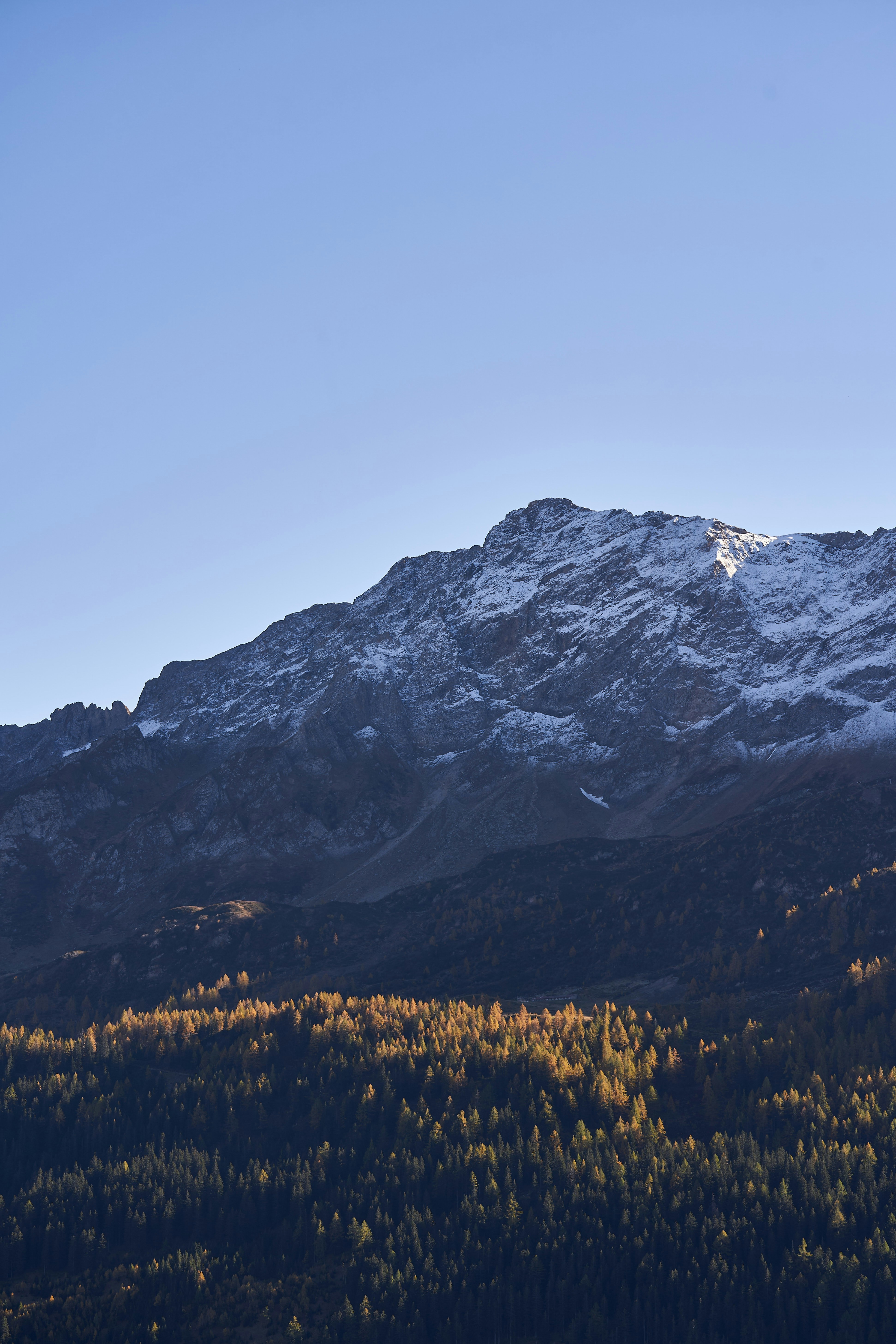 Photo by wolfgang_hasselmann