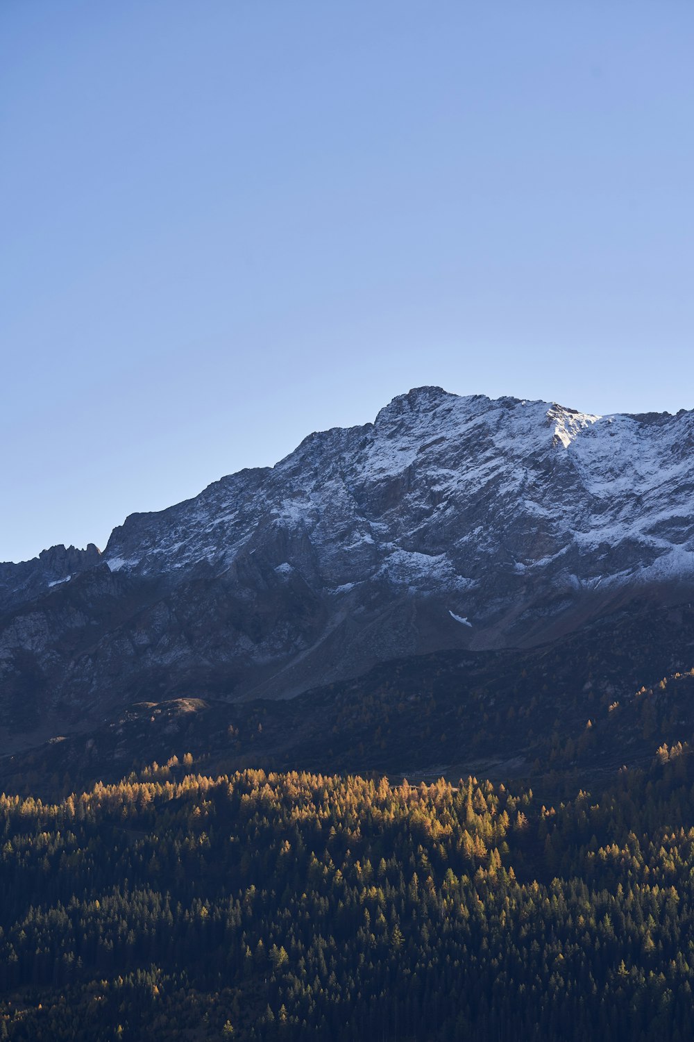 a snow covered mountain with trees in the foreground