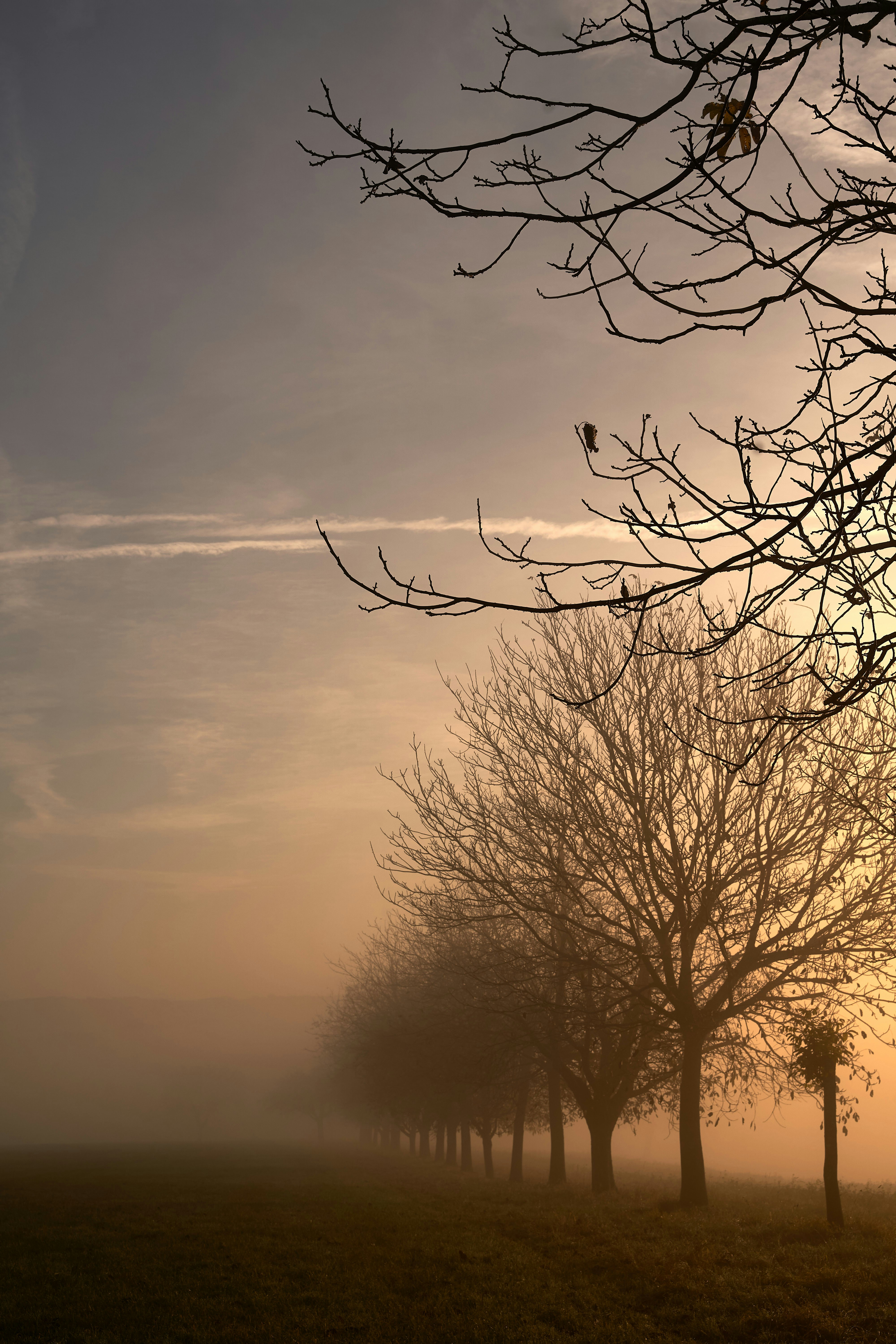 Photo by wolfgang_hasselmann