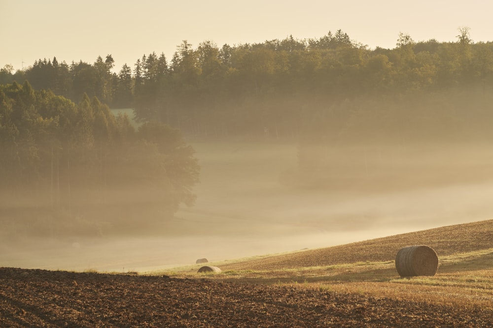 a foggy field with hay bales in the foreground