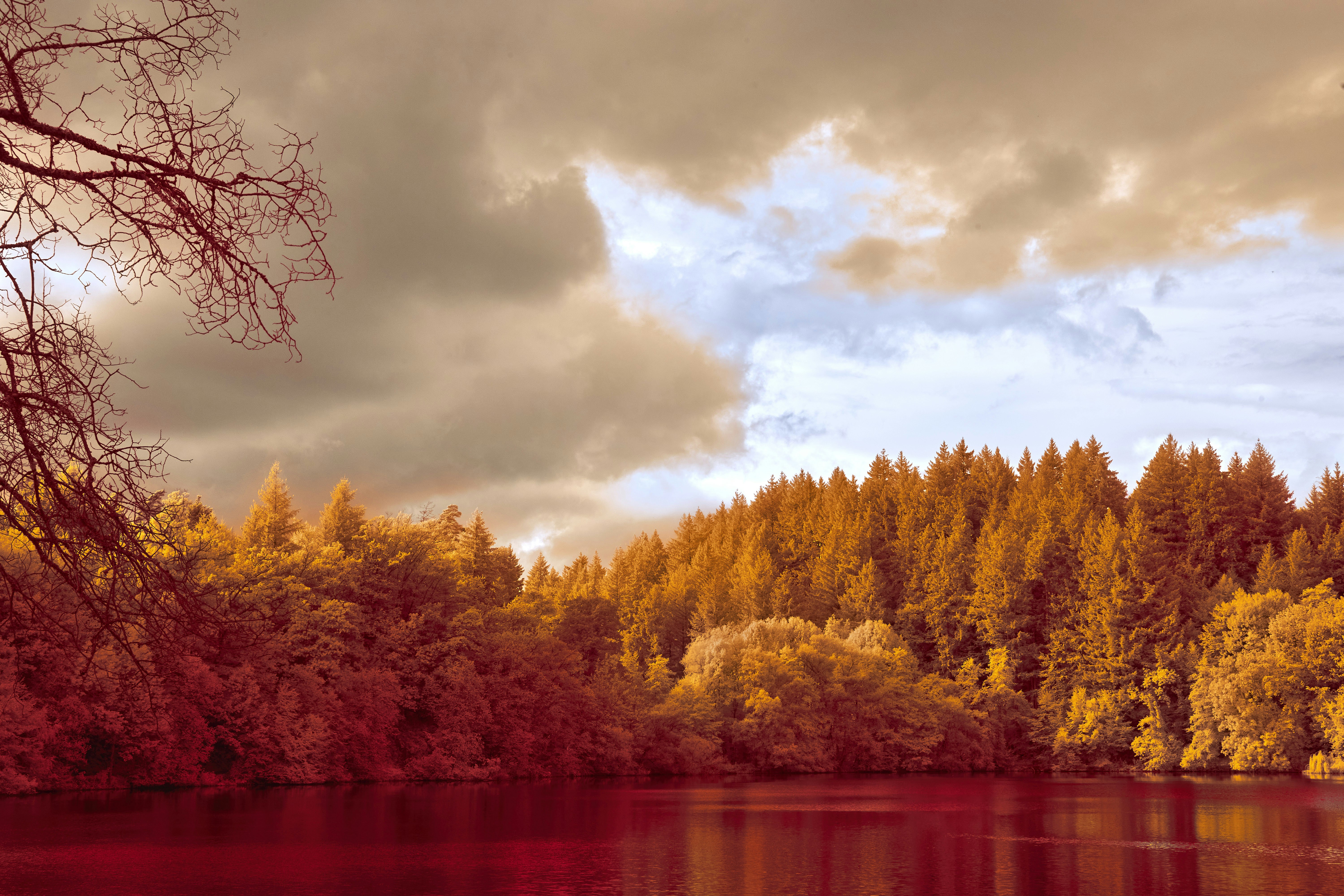 Photo by wolfgang_hasselmann