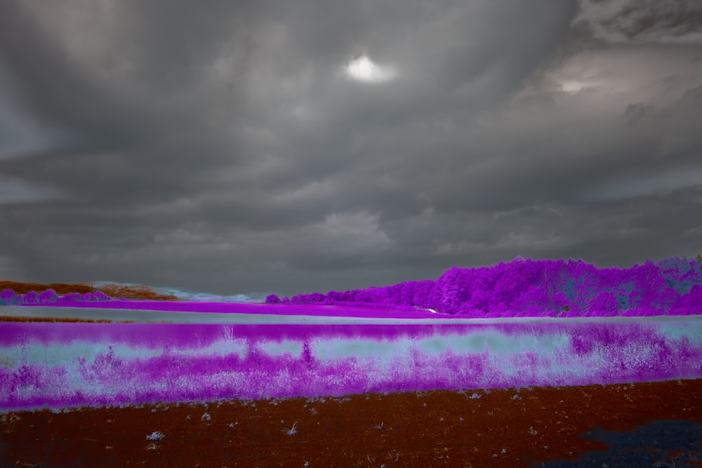 a painting of a landscape with purple and blue colors