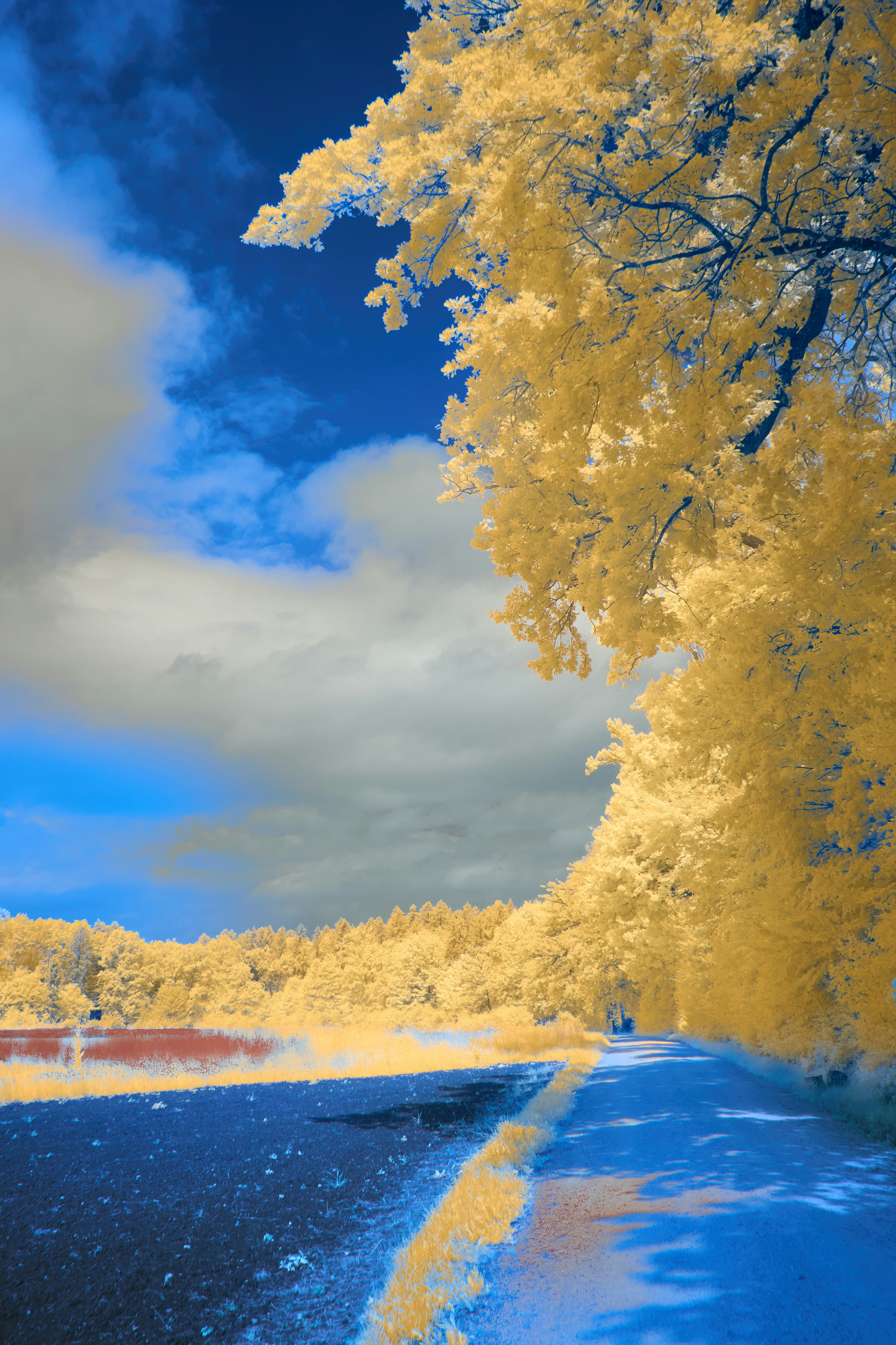 Photo by wolfgang_hasselmann