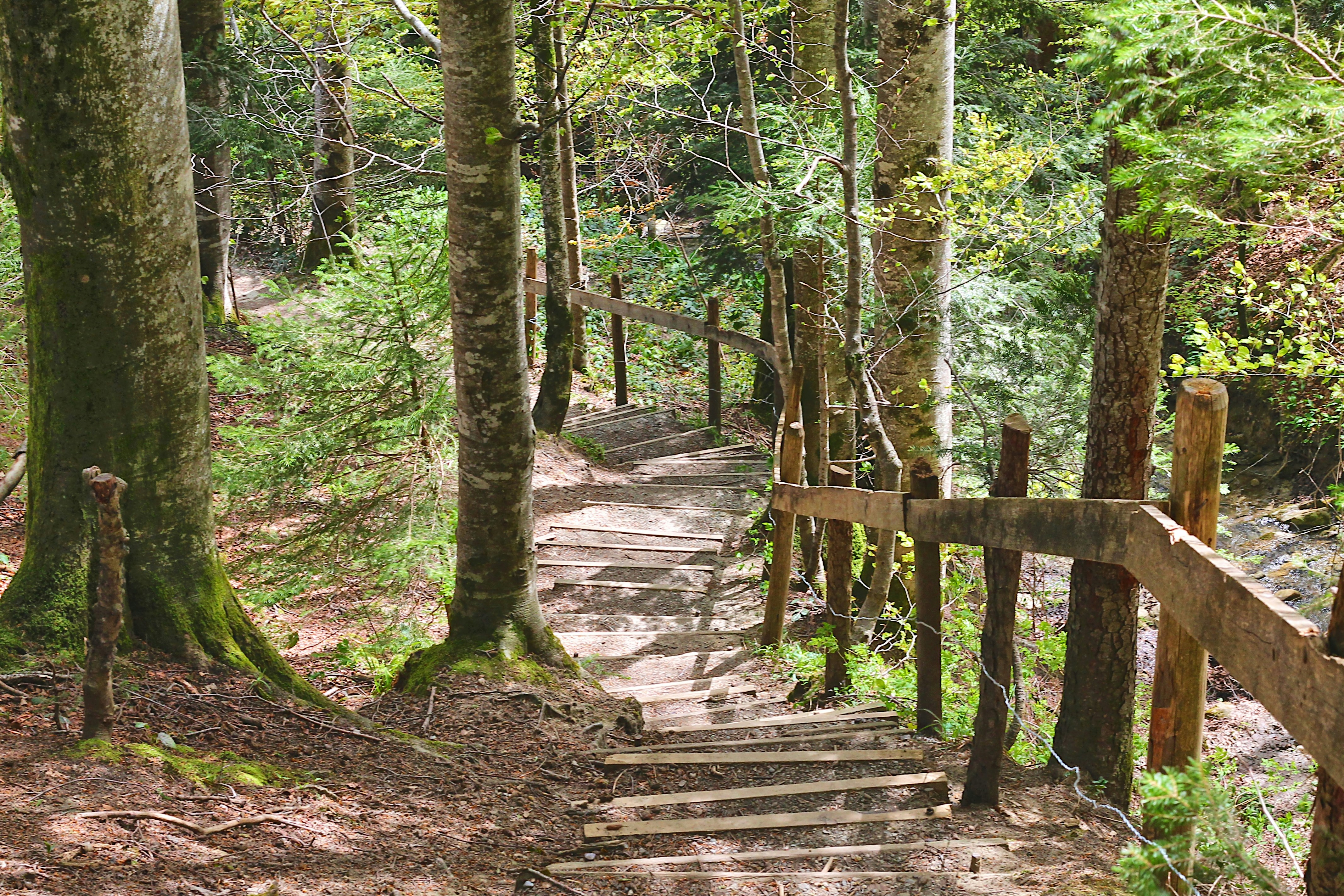 Photo by appenzellmoto