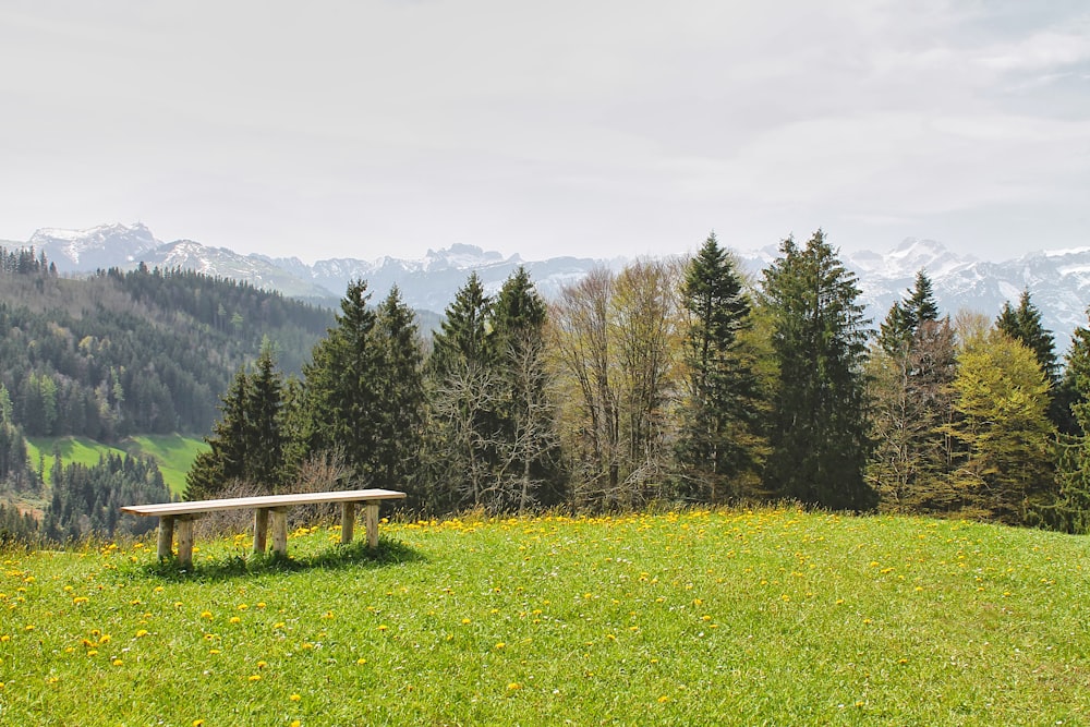 a bench in the middle of a field with mountains in the background