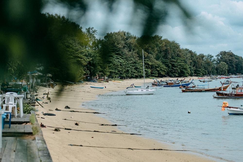 a group of boats floating on top of a body of water