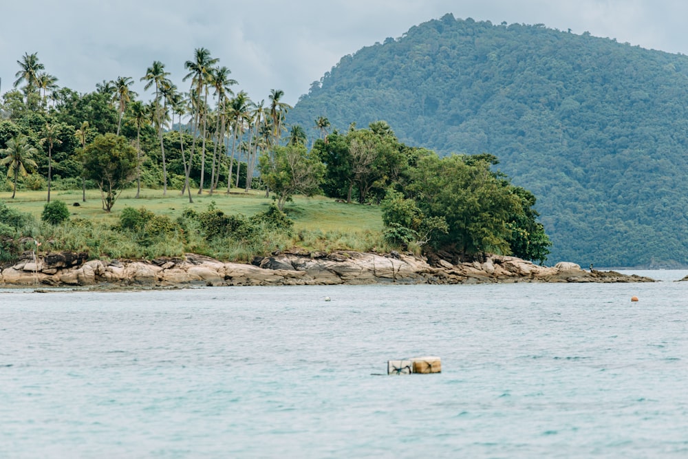 a body of water with a hill in the background