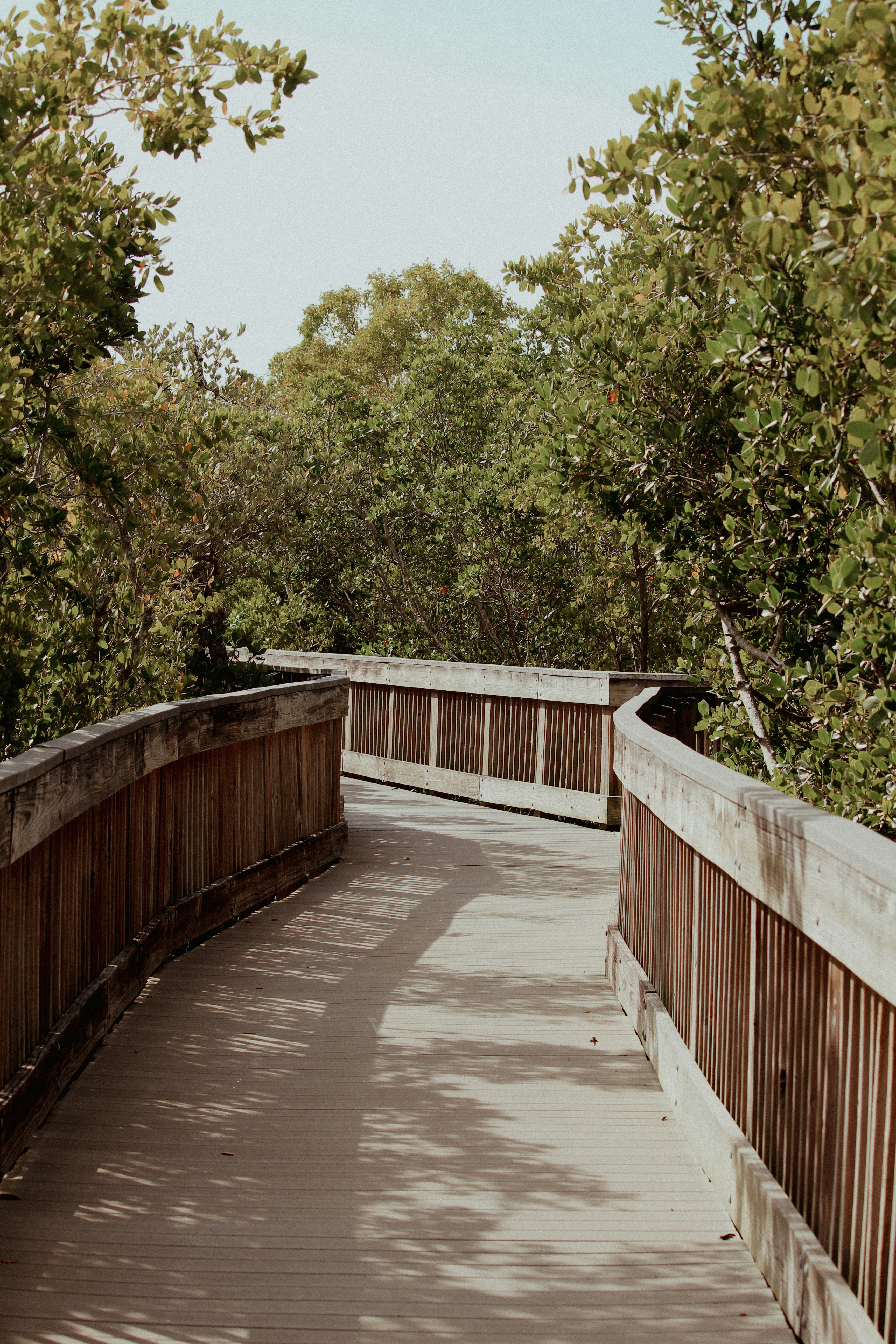 un pont en bois avec un banc sur le côté