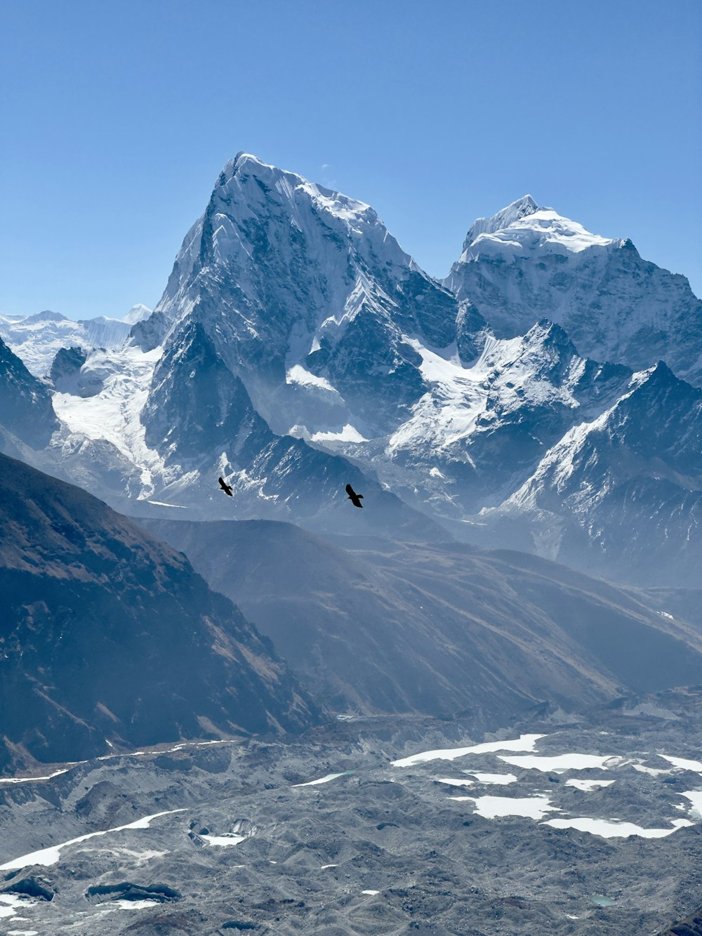 two birds flying over a mountain range