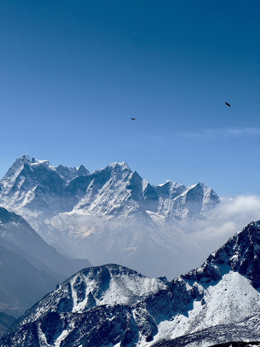 a bird flying over a snowy mountain range