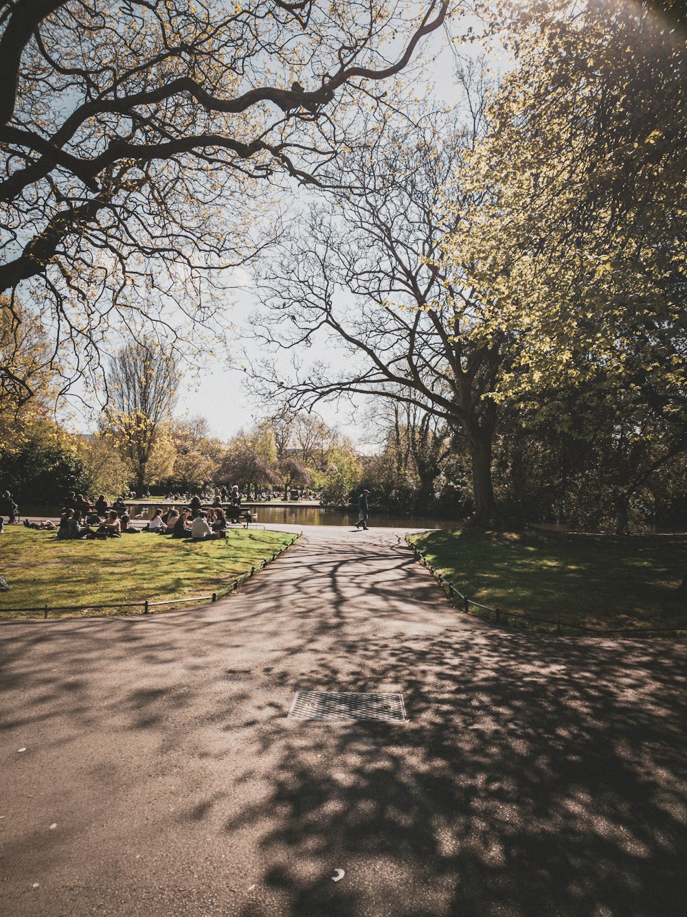 a park with lots of trees and people sitting on benches