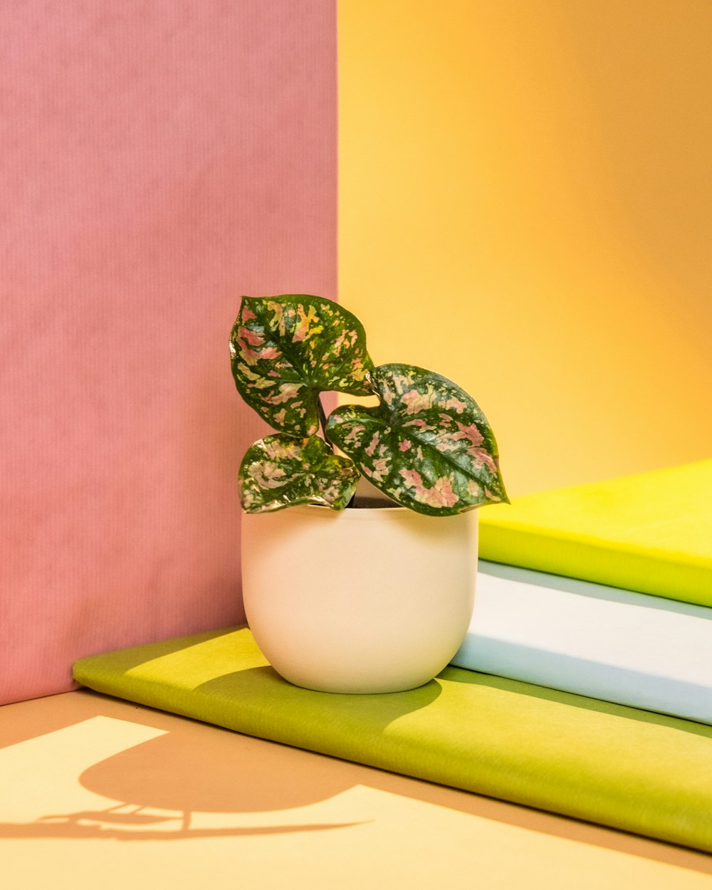 a potted plant sitting on top of a green mat