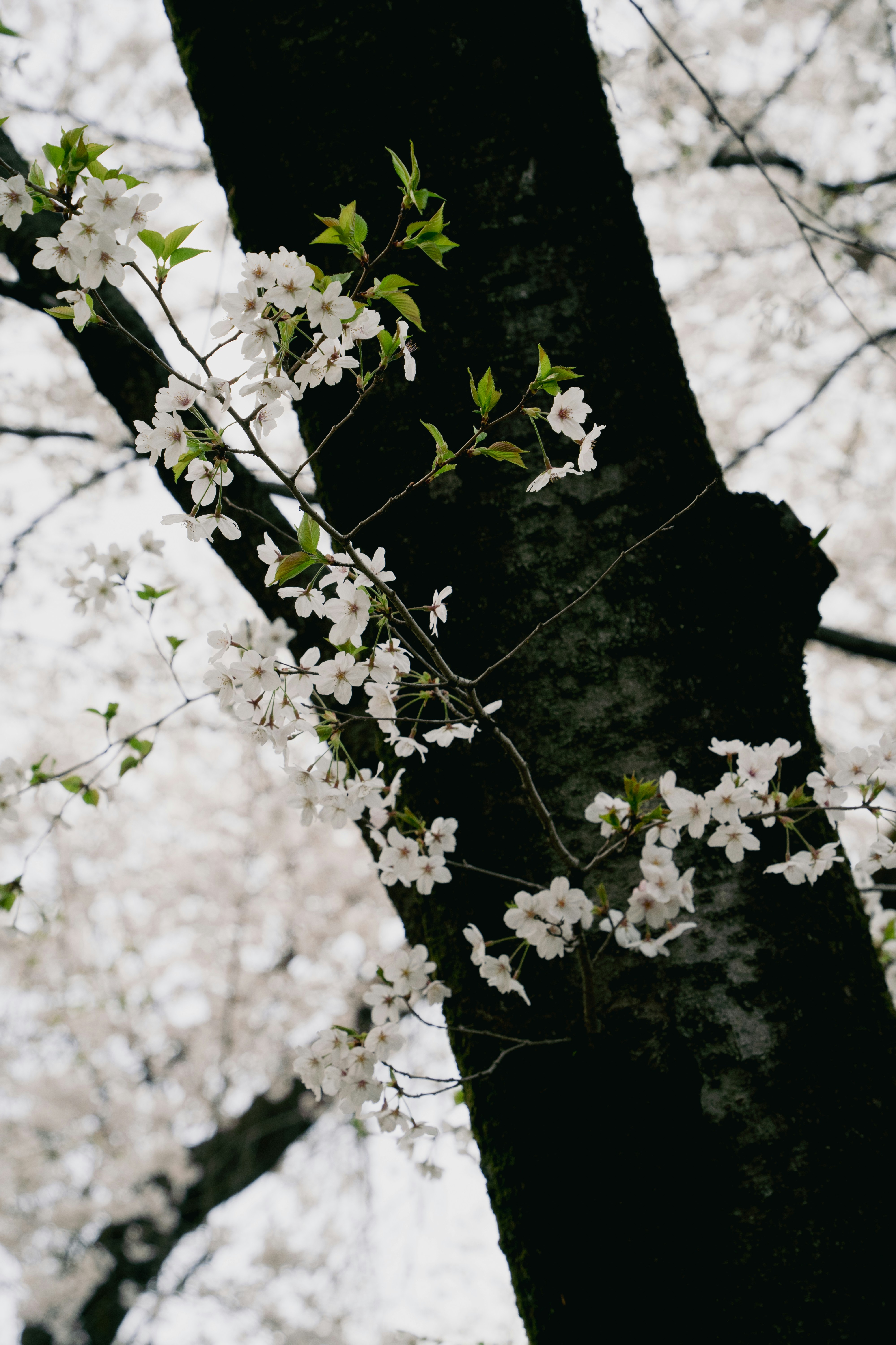 Photo by fl__q