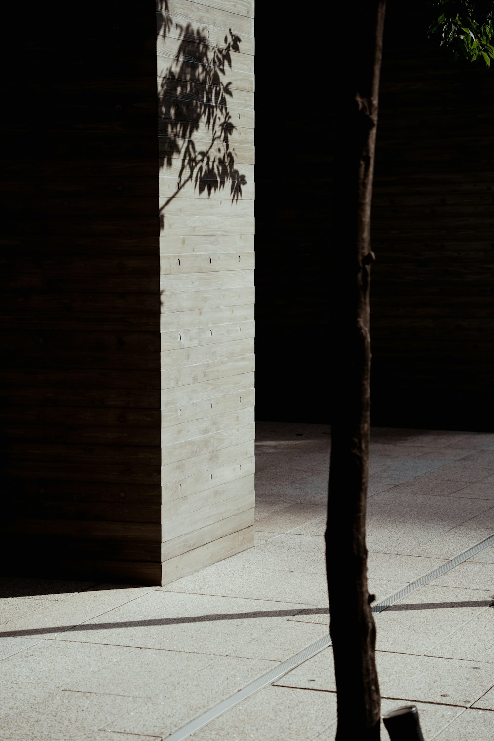 a person on a skateboard on a sidewalk