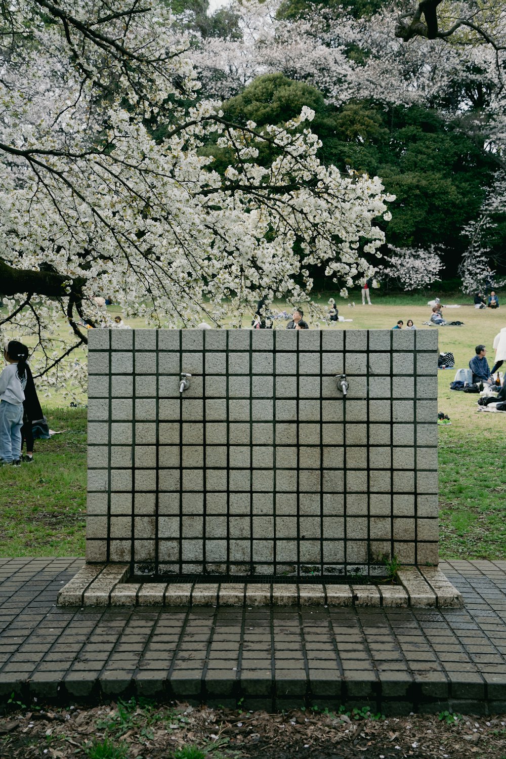 a group of people sitting in a park next to a tree