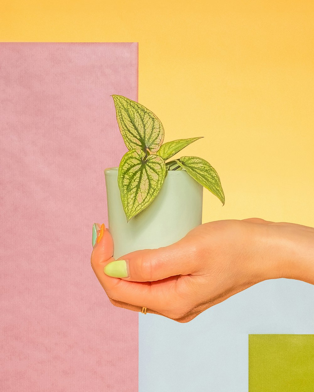 a woman's hand holding a cup with a plant in it
