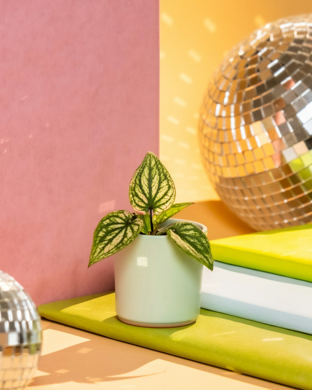 a potted plant sitting on top of a table next to a disco ball