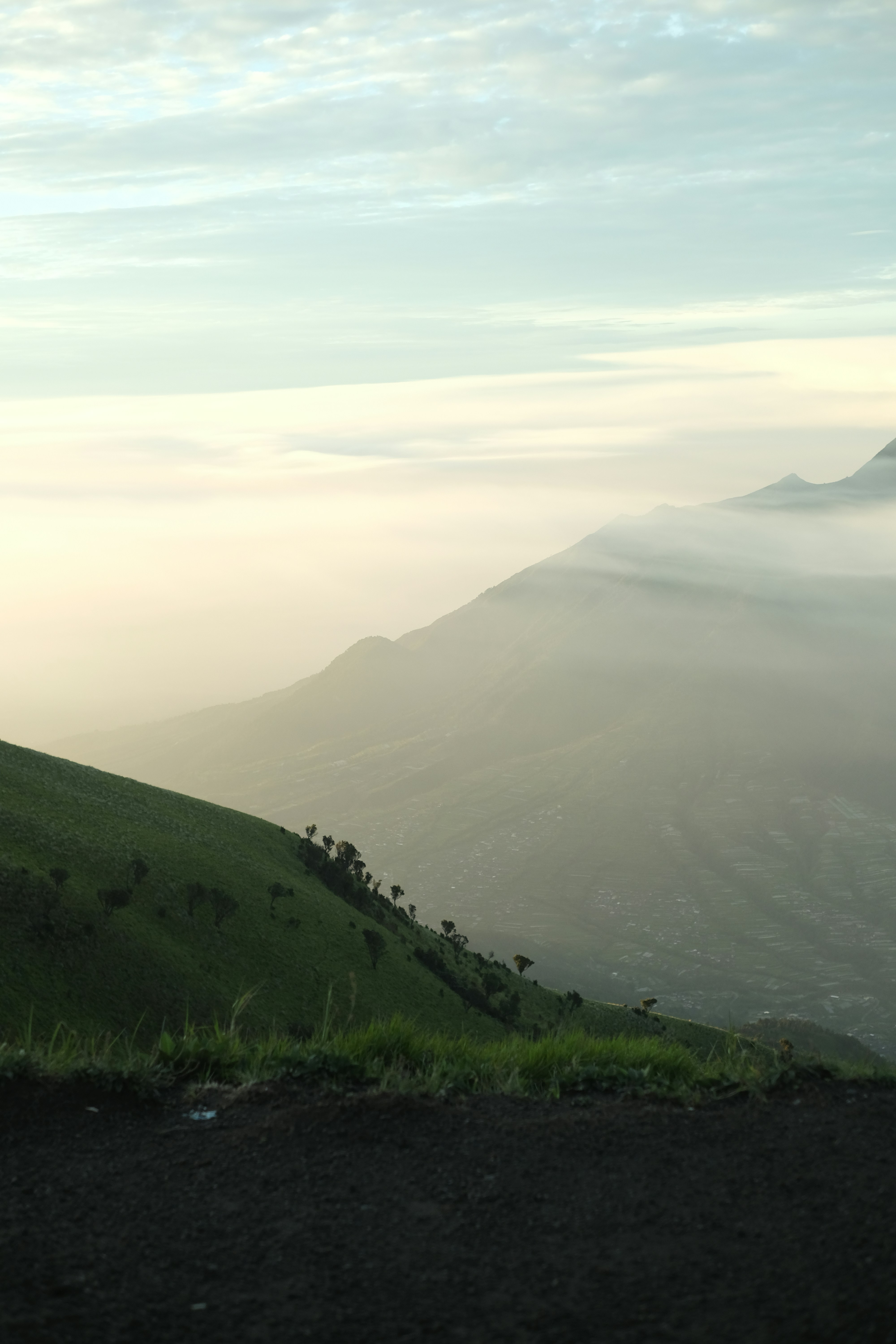a grassy hill with a few trees on top of it