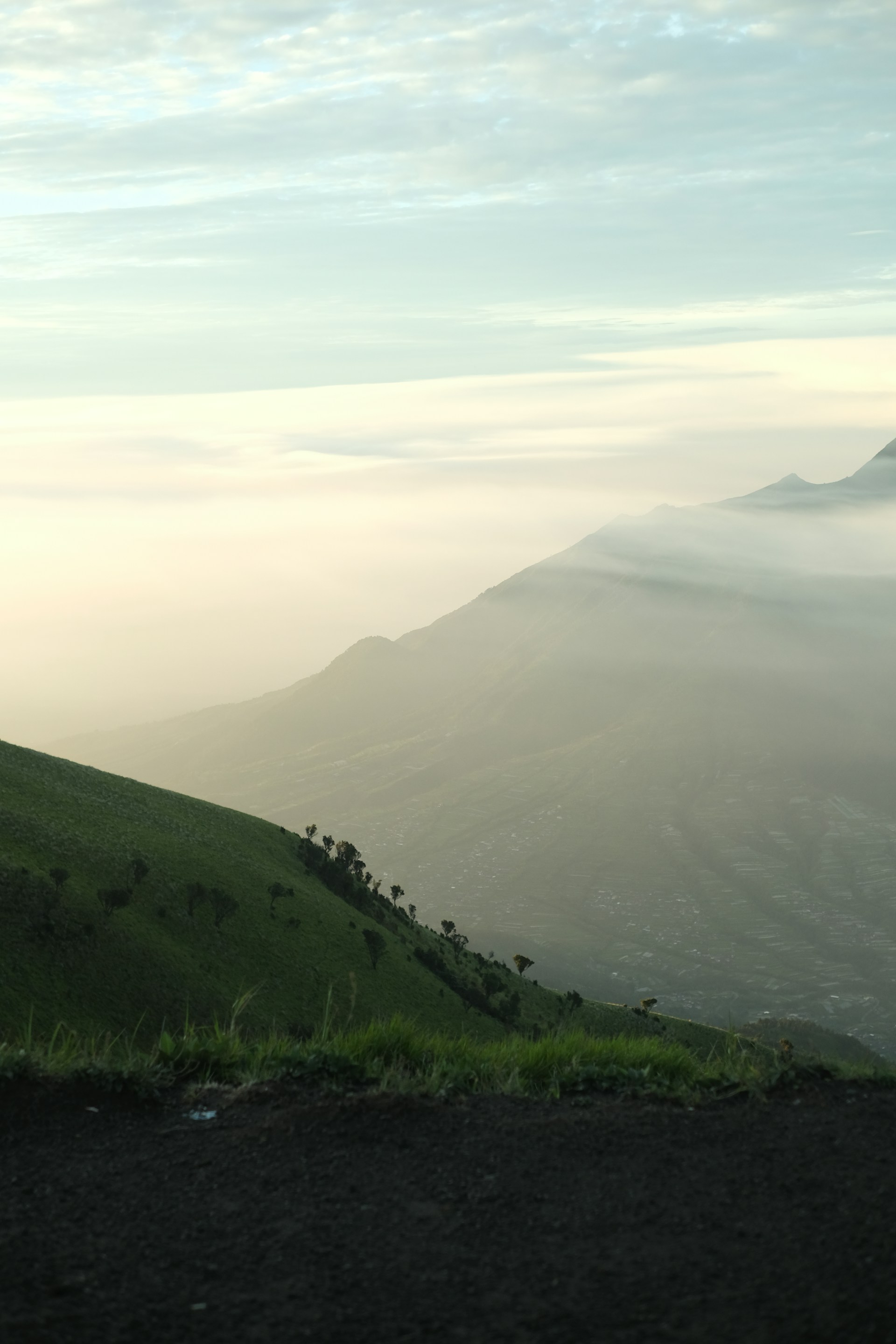 a grassy hill with a few trees on top of it