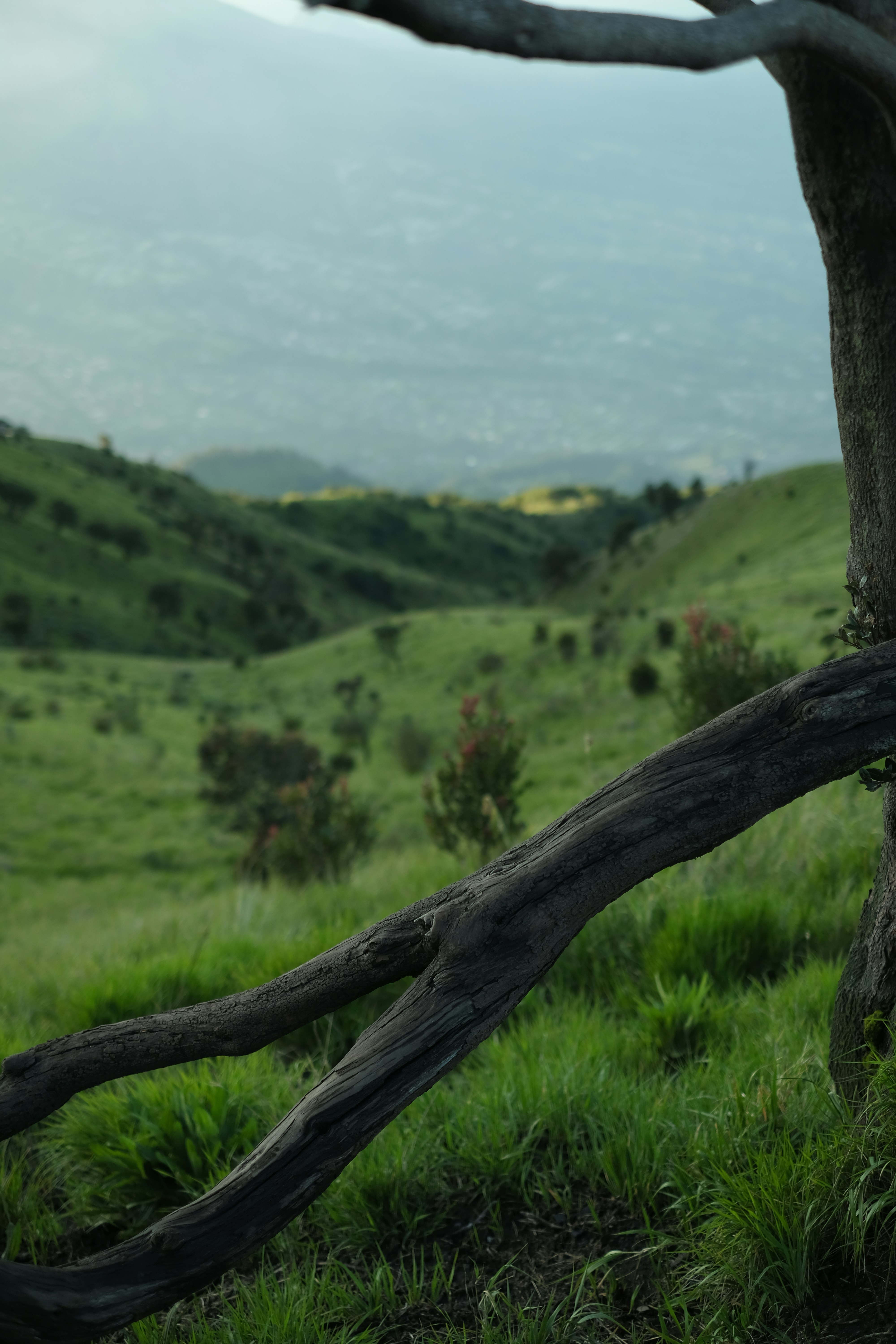 a wooden fence in a grassy field with mountains in the background