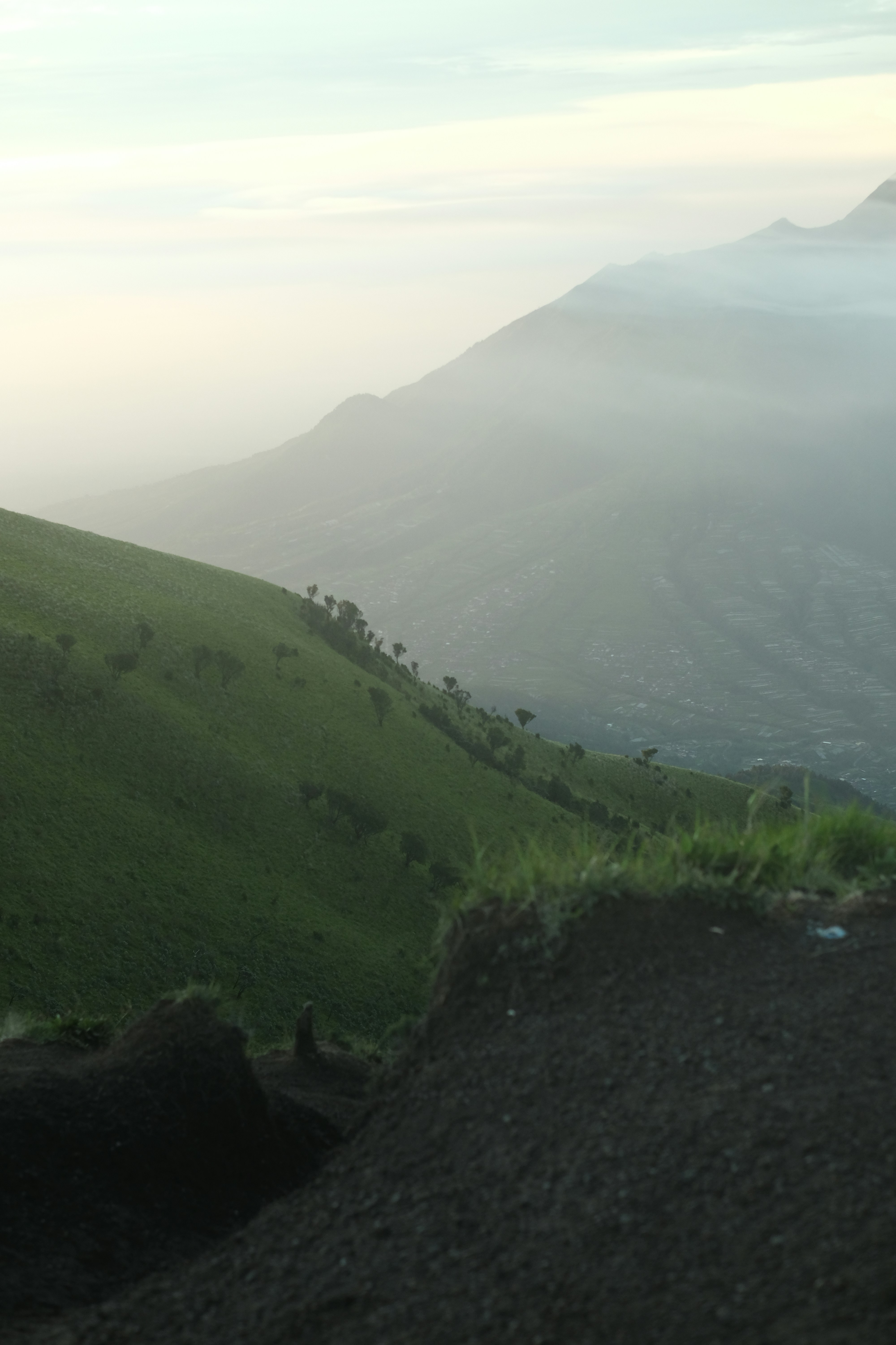 a sheep standing on a hill with a view of a valley