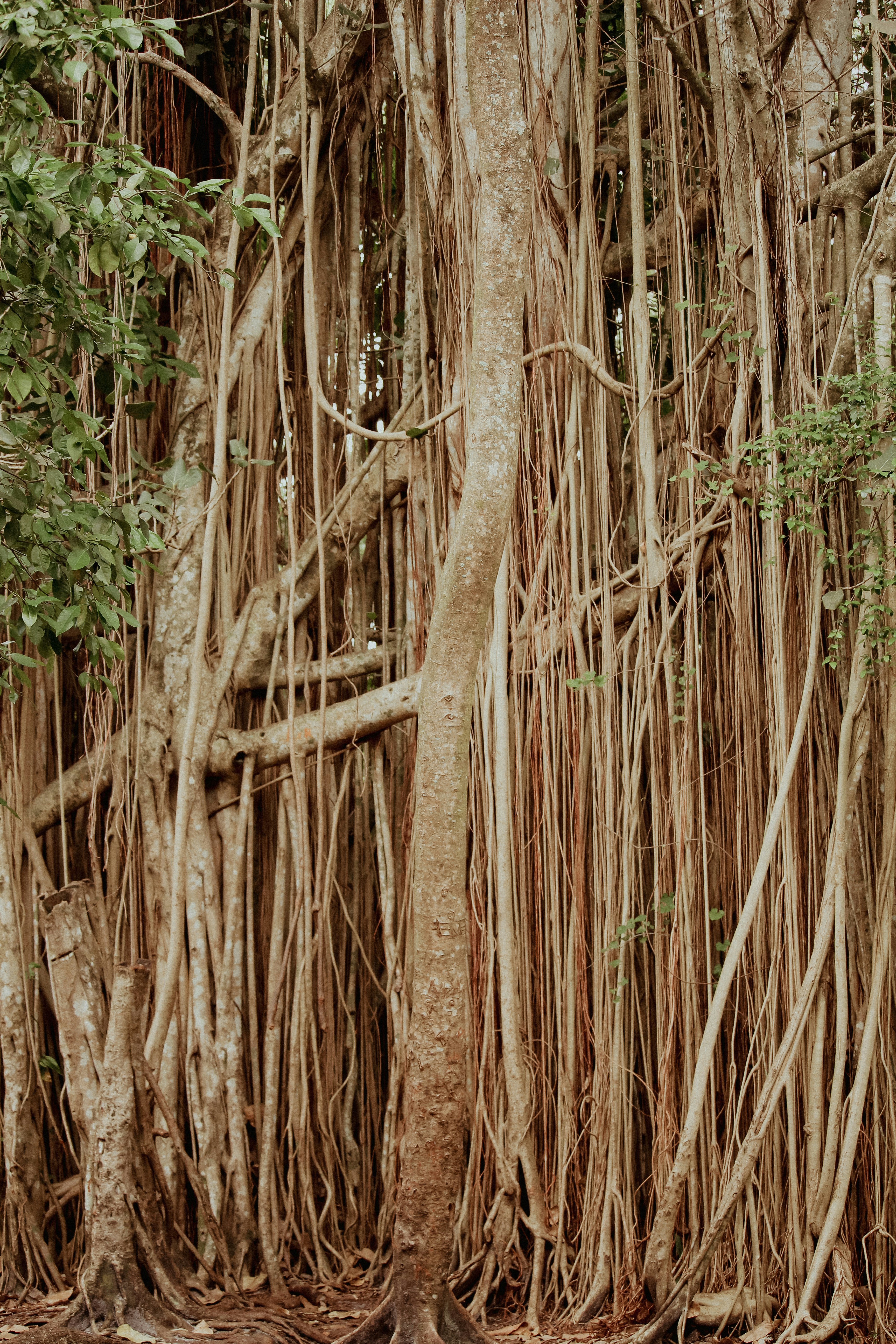 Photo by nascent_bob