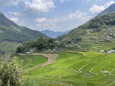 a view of a rice field with mountains in the background