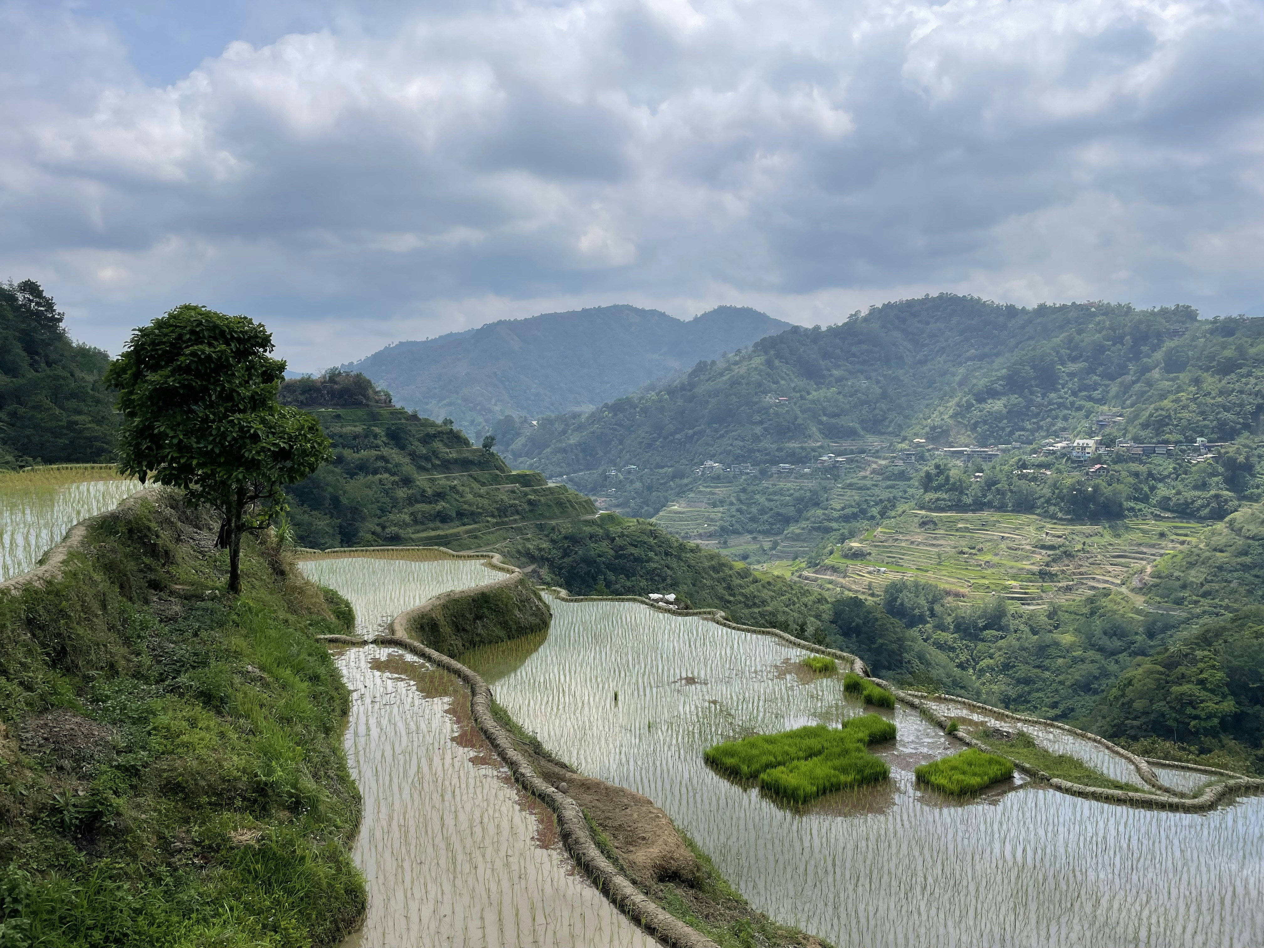 Banaue, Philippines - None