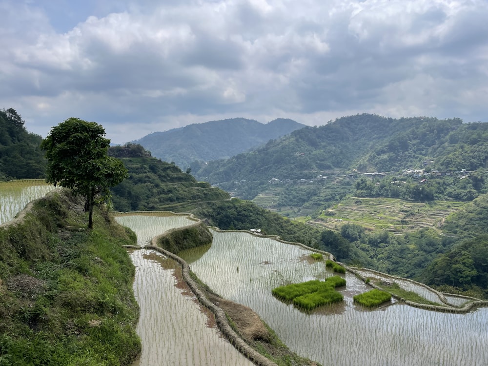 a river running through a lush green valley