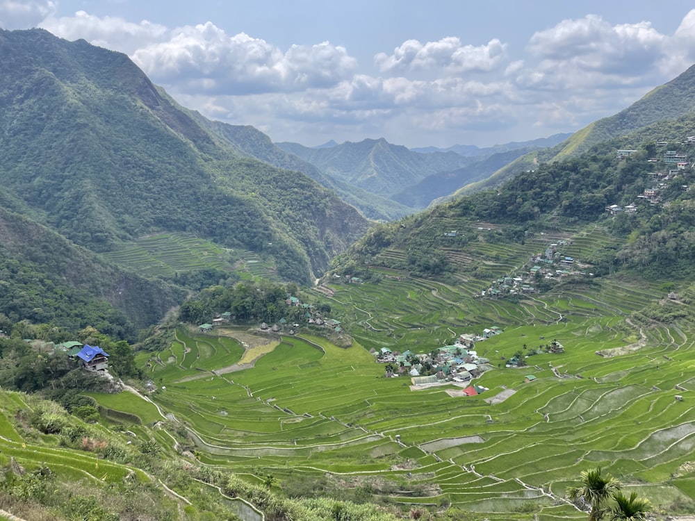 a view of a rice field in the mountains