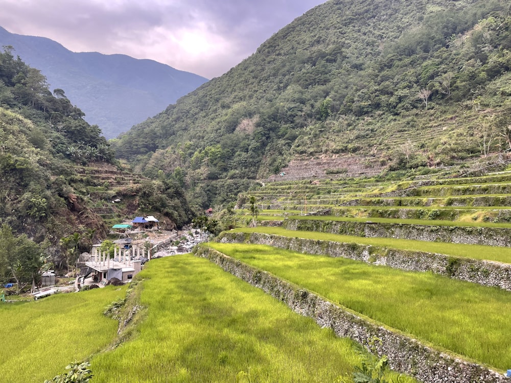 a lush green valley surrounded by mountains