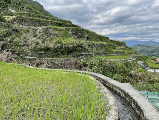 A lush green hillside with a stream running through it — Banaue & the rice terraces, Philippines