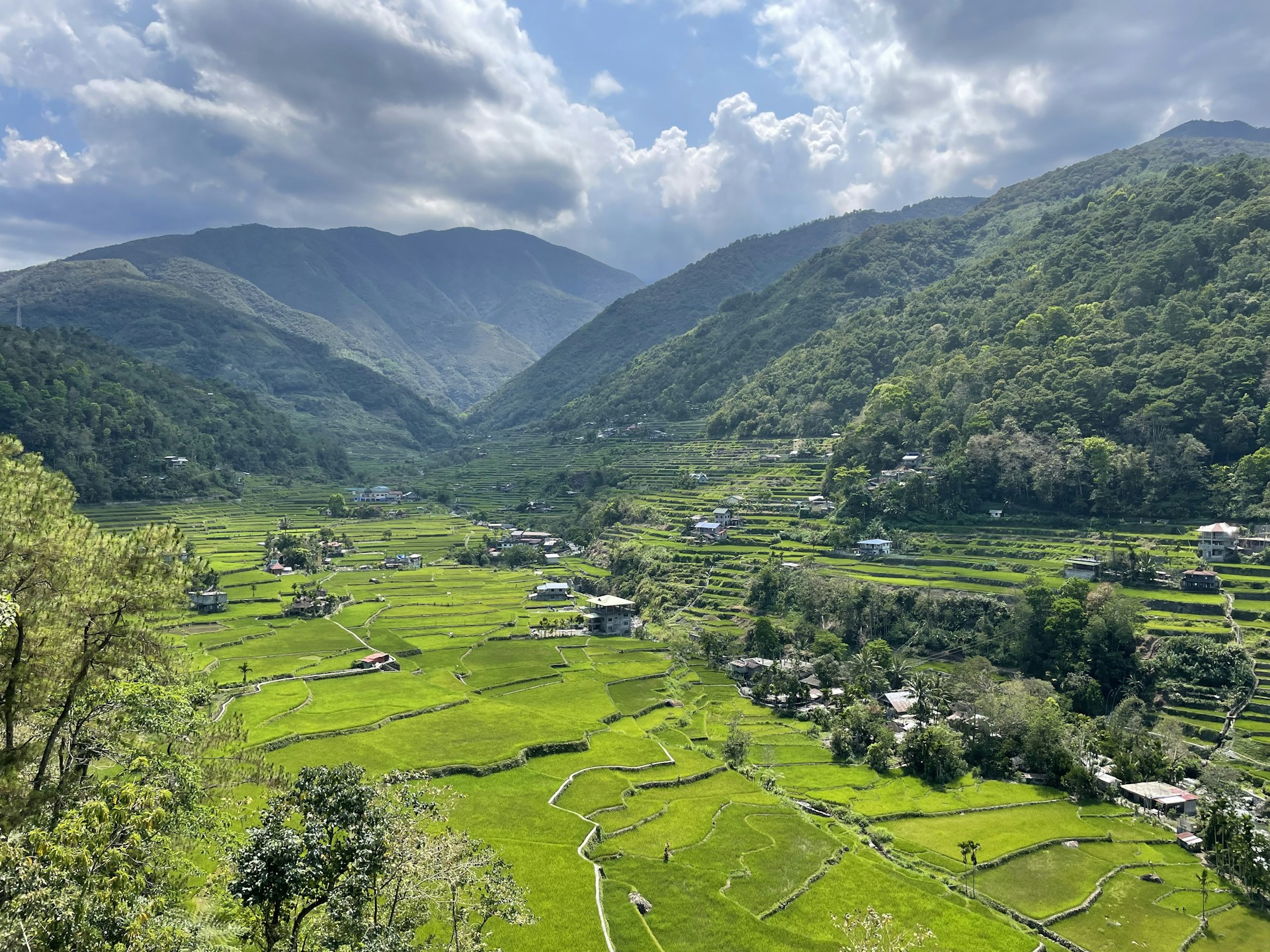 a lush green valley surrounded by mountains