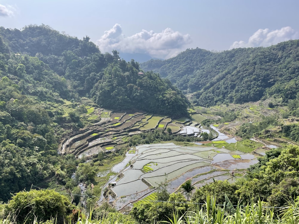 a view of a rice field in the mountains