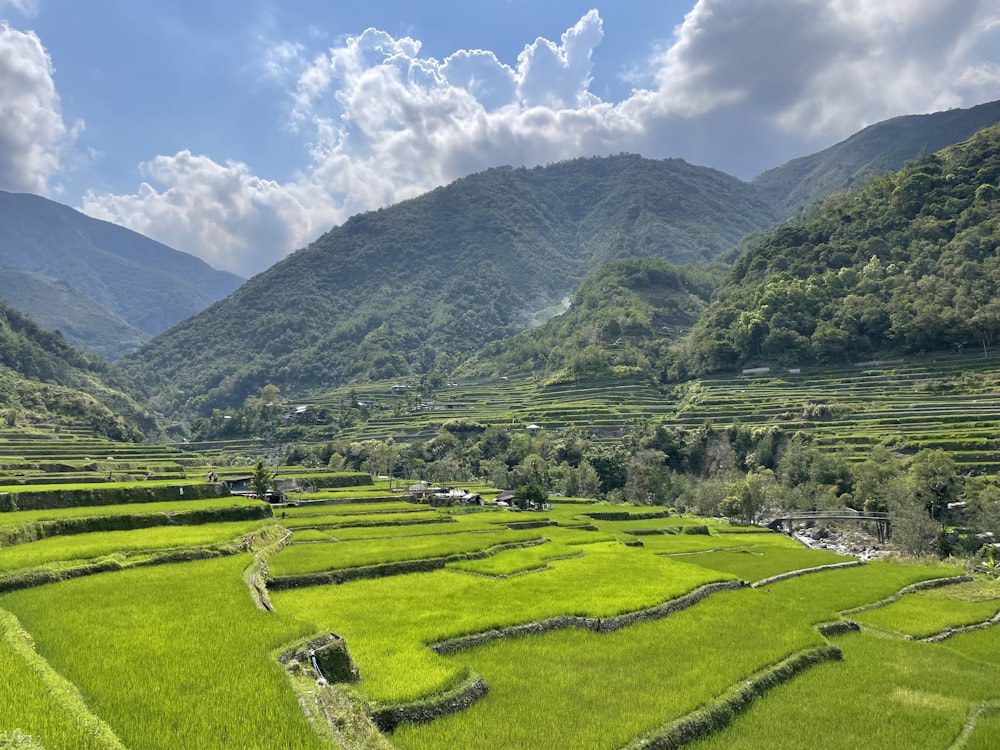 a lush green field with mountains in the background