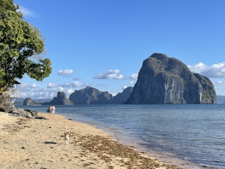 a couple of people standing on a beach next to a body of water