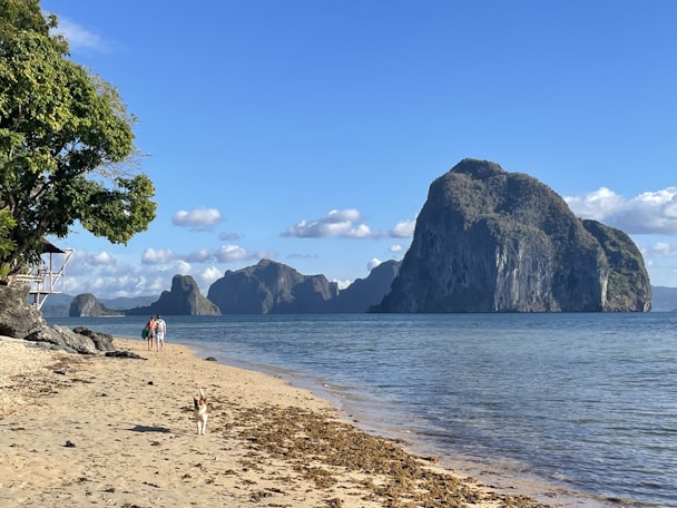 a couple of people standing on a beach next to a body of water